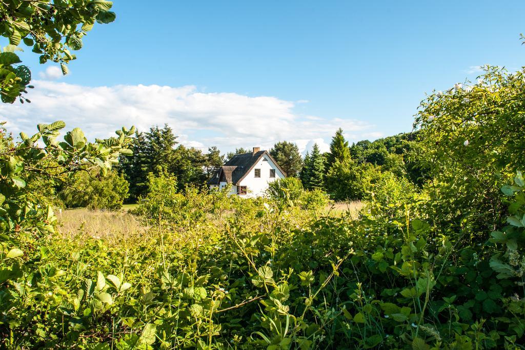 Dat Witte Hus Moritzdorf Ruegen Ferienwohnungen - Ruhige Lage Exterior photo